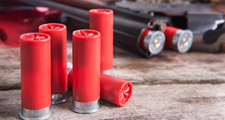 Shotgun and shotgun shells