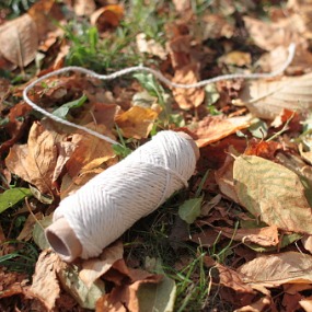 Skein of threadin on the yellow leaves icon