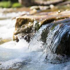 Small waterfall in a torrent