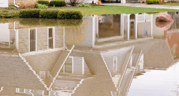 Spring flood reflection after heavy rains