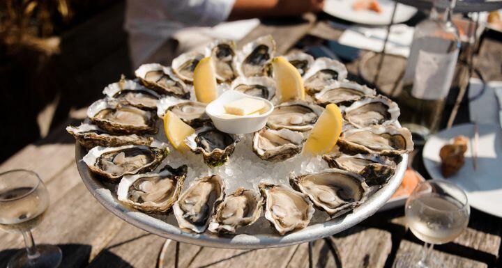 Tray full of oysters