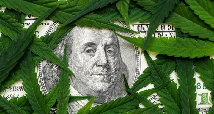 The face of Benjamin Franklin on the hundred dollar banknote among cannabis leaf