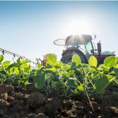 A tractor fertilizing a soybean field