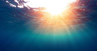 Underwater view of the sea surface