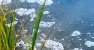 Water pollution in river