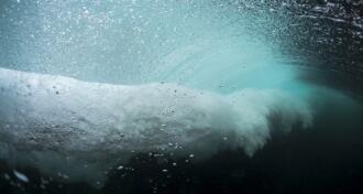 Wave vortex