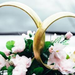 Two wedding rings intersected over pink flowers
