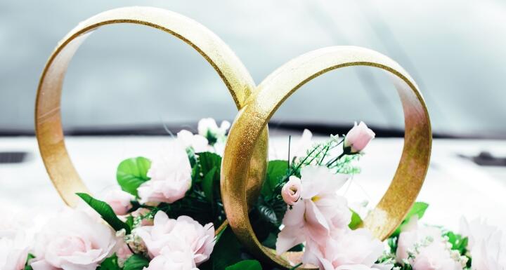 Two wedding rings intersected over pink flowers