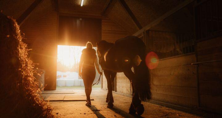 Woman Walking Horse from Barn