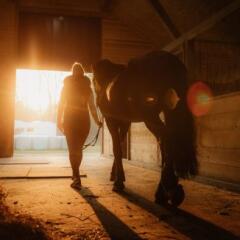 Woman Walking Horse from Barn