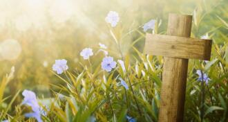 Wooden cross in field with purple flowers