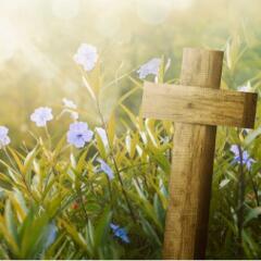 Wooden cross in field with purple flowers