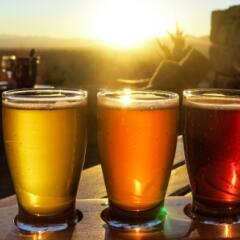 Beer Flight in Sun