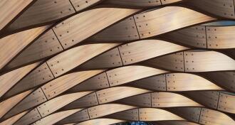 Pieces of wood twisted and winding together