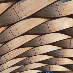 Pieces of wood twisted and winding together