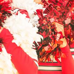 Closeup of cheerleader pompoms