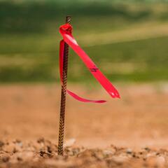 A surveyor's stake with a red flag in a plot of cleared land