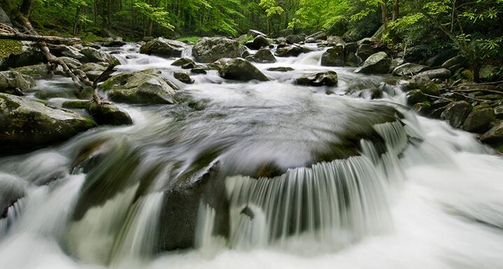 Water rushing over rocks surrounded by foliage