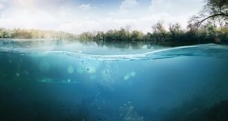 View of underwater of fresh water lake