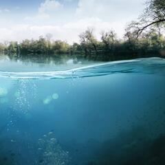 View of underwater of fresh water lake
