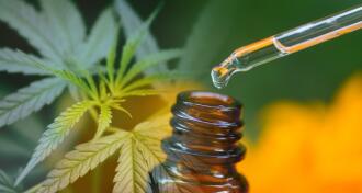 hemp and cannabis plant with bottle and droplet