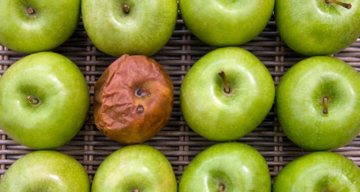 one rotten apple in a group of a dozen apples