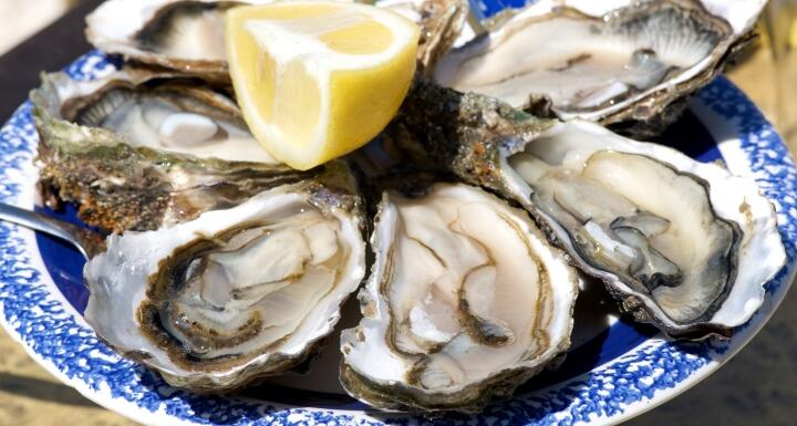 Atlantic Oysters on the half shell served with lemon