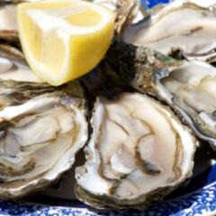 Atlantic Oysters on the half shell served with lemon