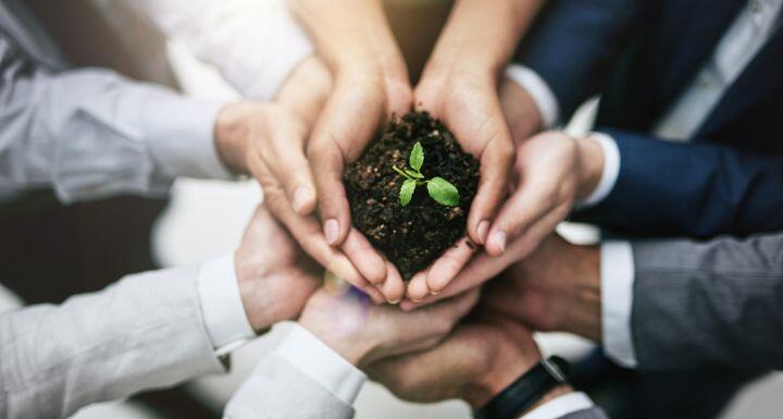 team of colleagues holding a plant growing out of soil
