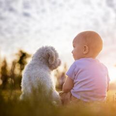 Toddler and dog sitting outside on sunny day