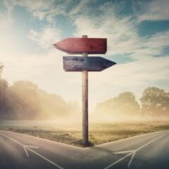 A split road and a sign with two arrows pointing in opposite directions