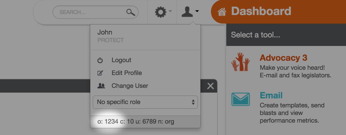 Salsa organization key