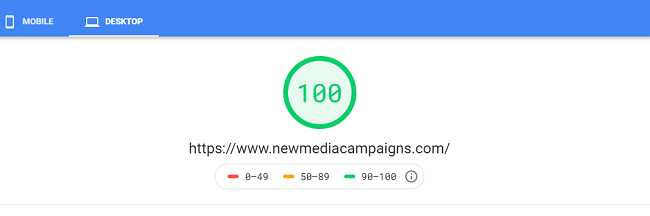 Google PageSpeed Insights Score 