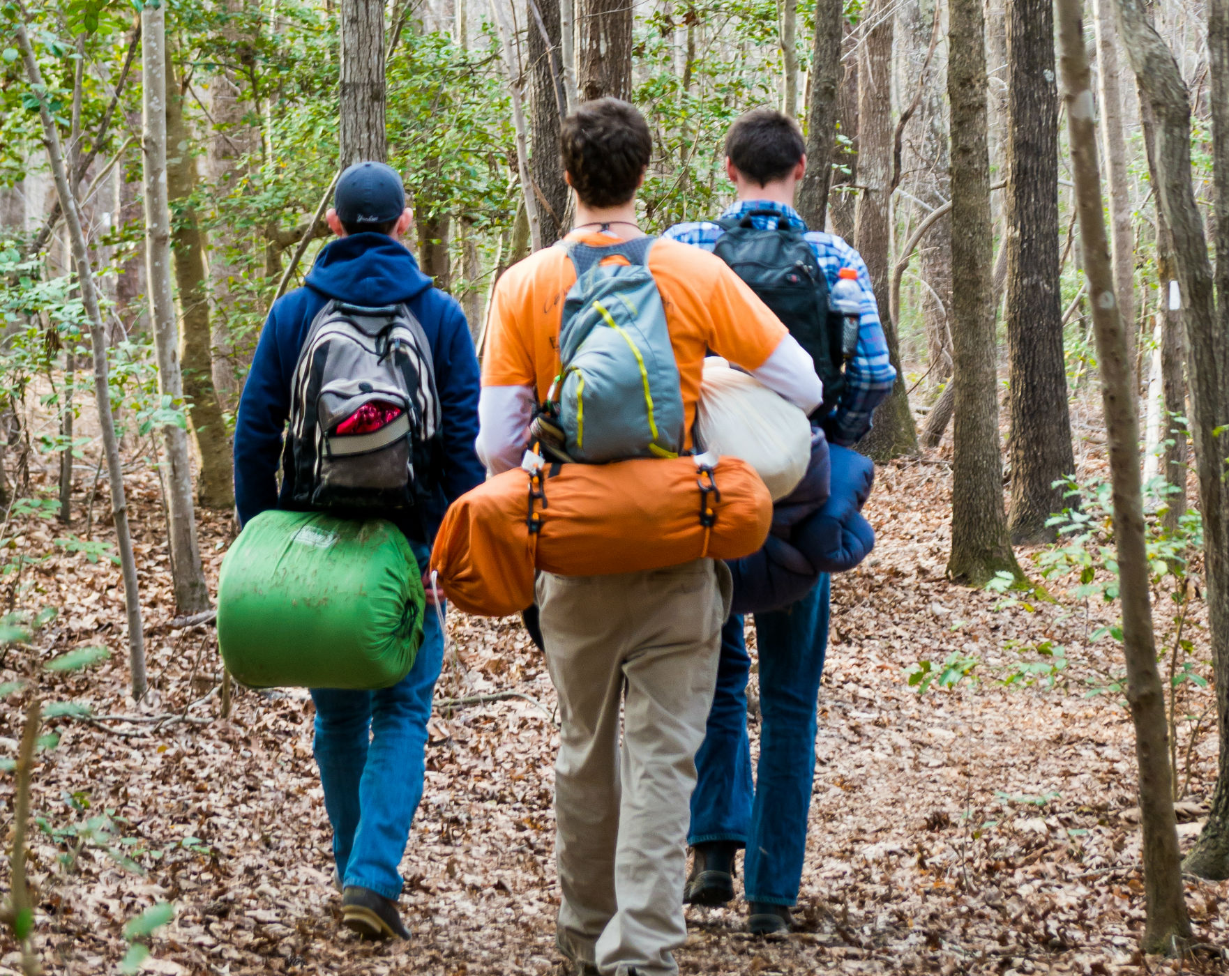 Uwharrie national store forest hiking