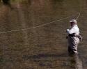 Fly fishing in Ashe County