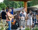 Bluegrass in Ashe County