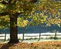 Ashe County in the Fall