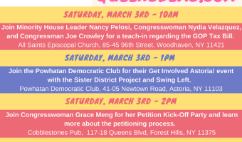 Queens Dems Weekend of Action