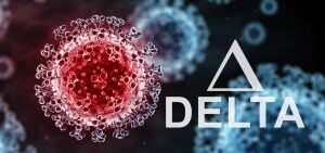 Delta Disruption? image