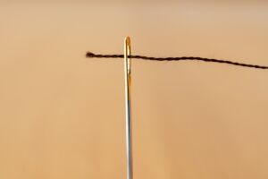 Threading The Needle image