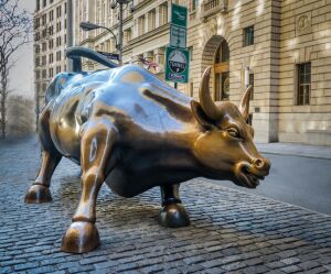Bull Capital Trading - Bull Capital Trading