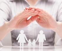 Domestic Relations and Family Law