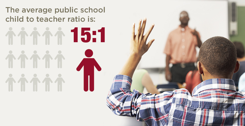 Average Public School Ratio
