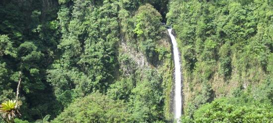 La Fortuna Waterfall