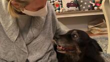 January Adoptions!