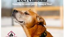 2021 Calendars Are Here!
