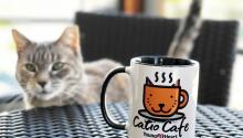Our New Catio Cafe!