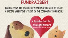 Valentine's Day Fundraiser