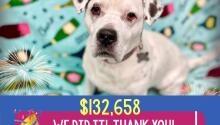 So Grateful for Our Supporters!