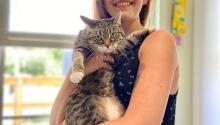 Adoptions, Part II